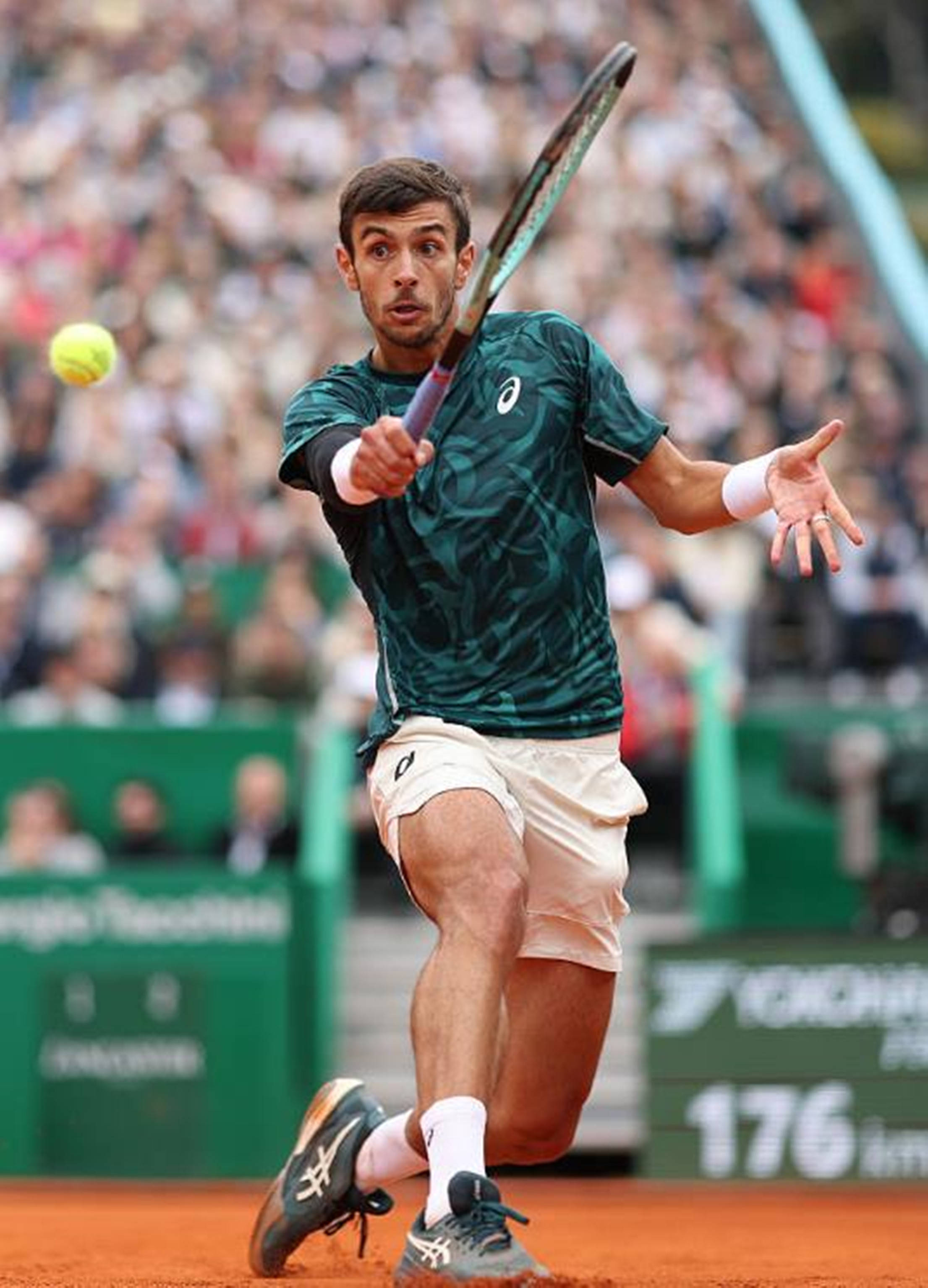 表演指导 表演指导